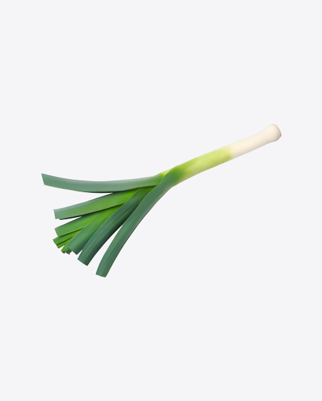 Leek - Health