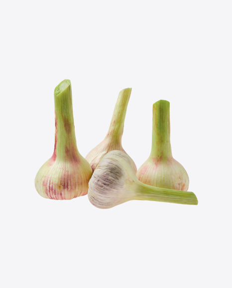 Garlic Bulbs - Taste