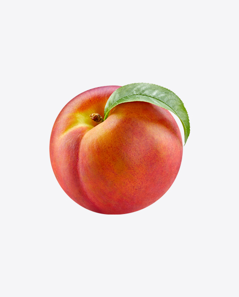 Nectarine - Harvest