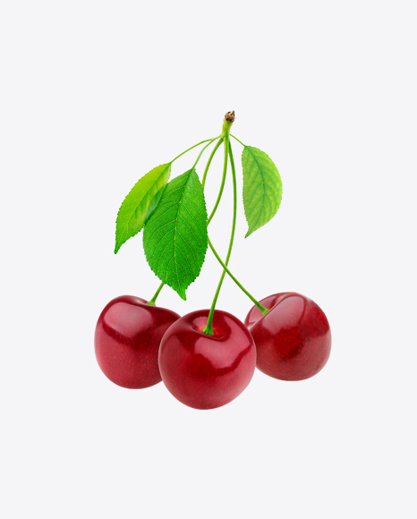 Cherries - Branch