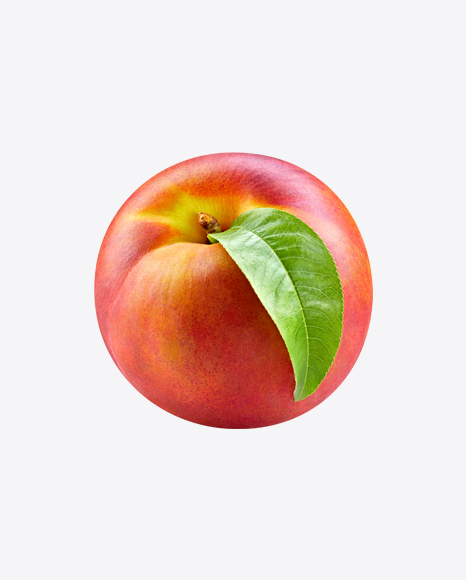 Nectarine - Harvest