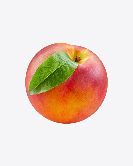 Nectarine - Harvest