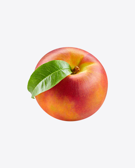Nectarine - Harvest