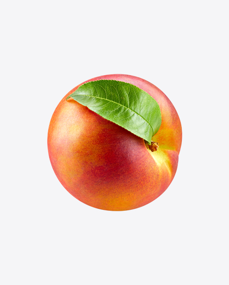 Nectarine - Harvest