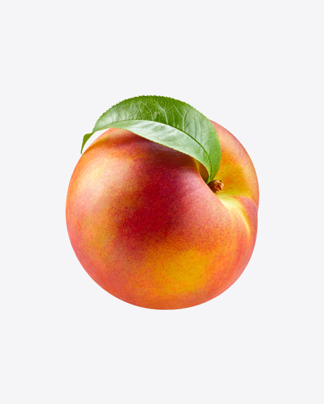 Nectarine - Harvest