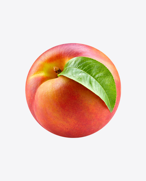 Nectarine - Harvest