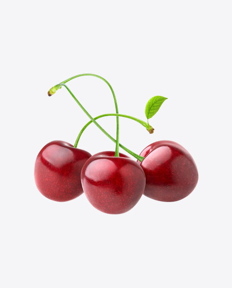 Cherries - Branch