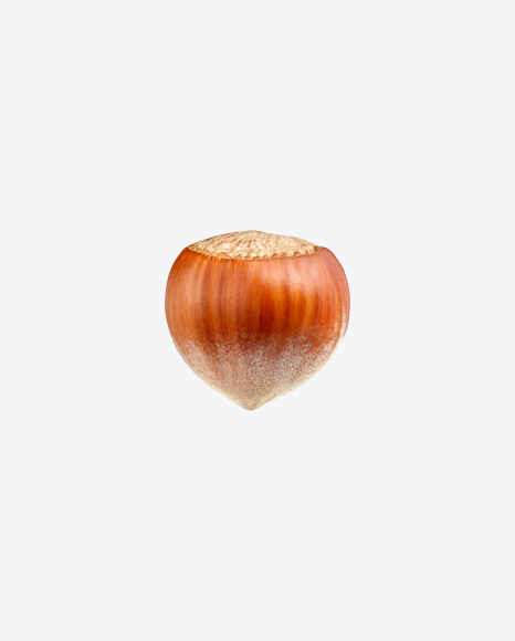 Hazelnut - Nut