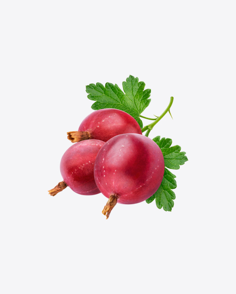 Red Goosberry - Garden