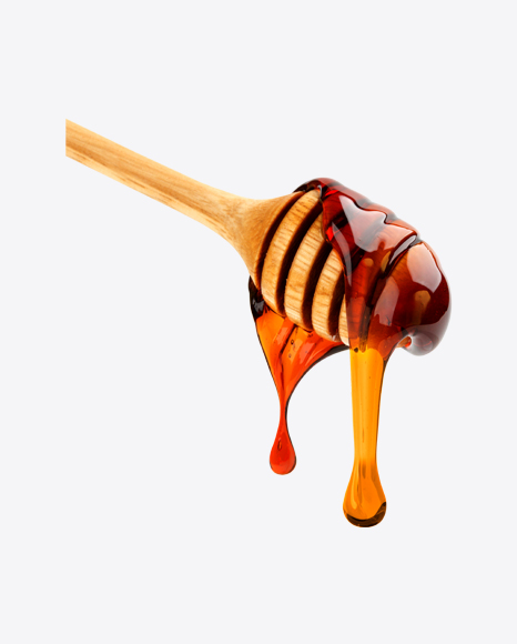 Wooden Dipper w Honey - Honey