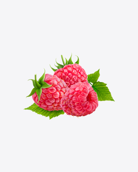 Raspberry Set - Raspberry
