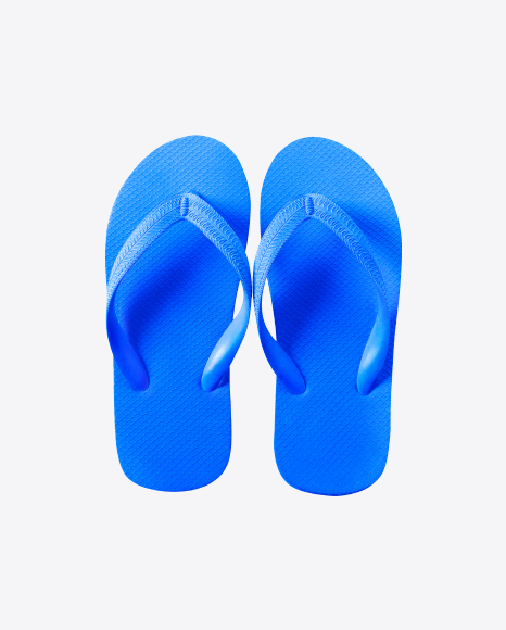 Blue Slippers - View